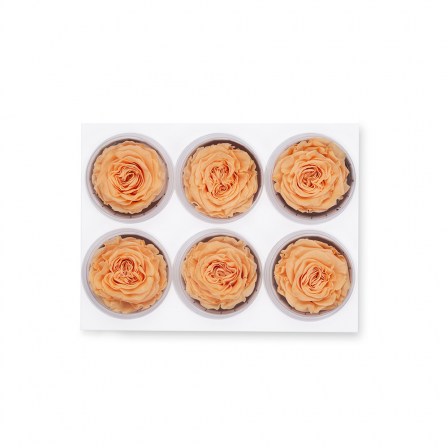 03_salmon_romantic_button_top view